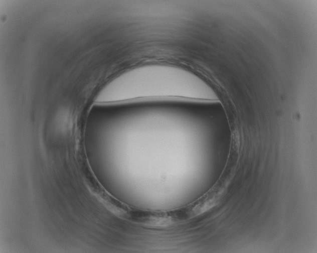 X0000080720458200612150842