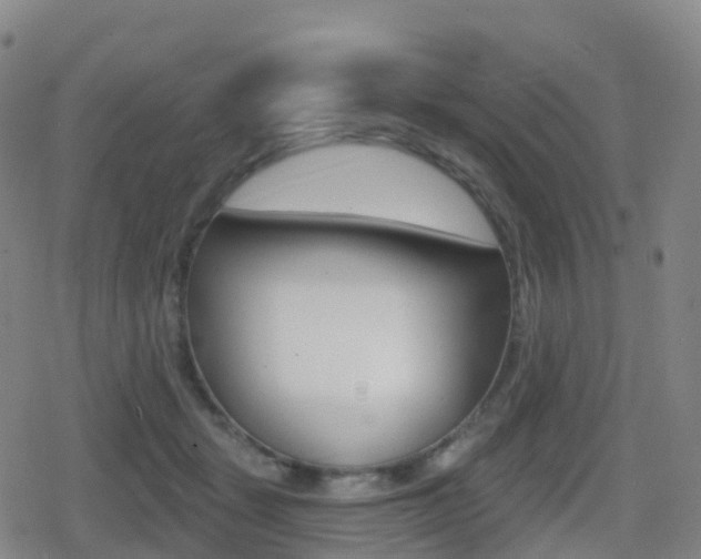 X0000080720461200612150842
