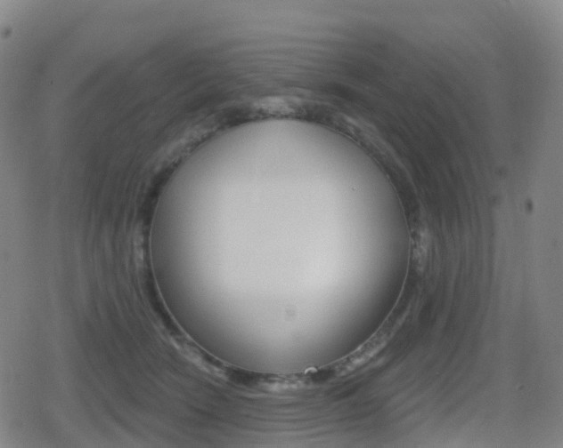 X0000080720466200612150842