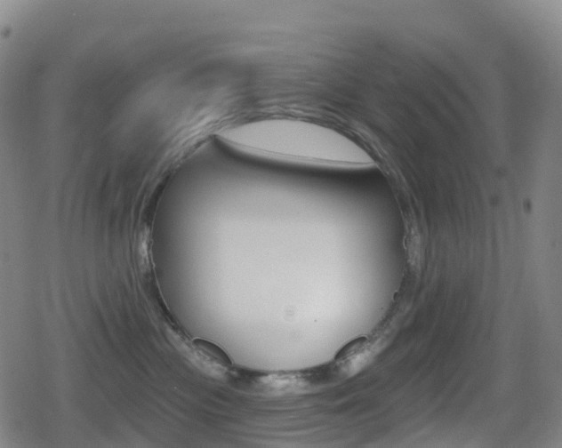 X0000080720477200612150843