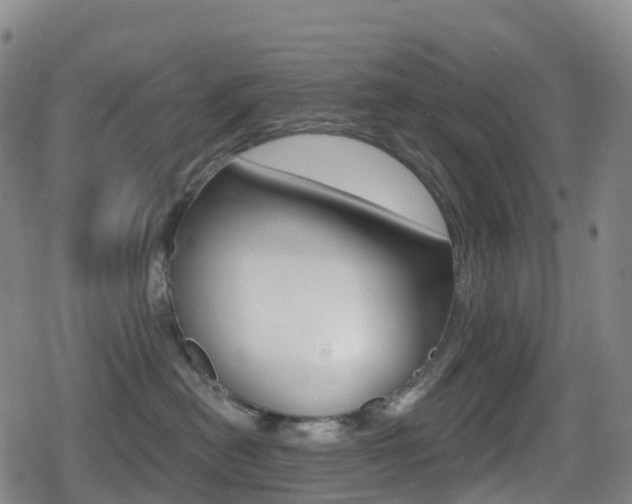 X0000080720478200612150843