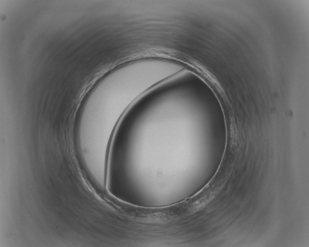 X0000080720485200612150842