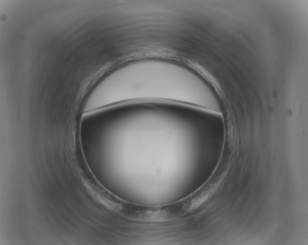 X0000080720493200612150842