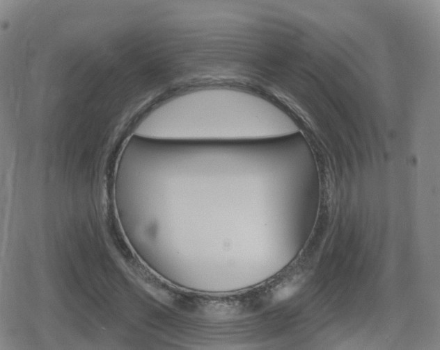X0000080720494200612150842