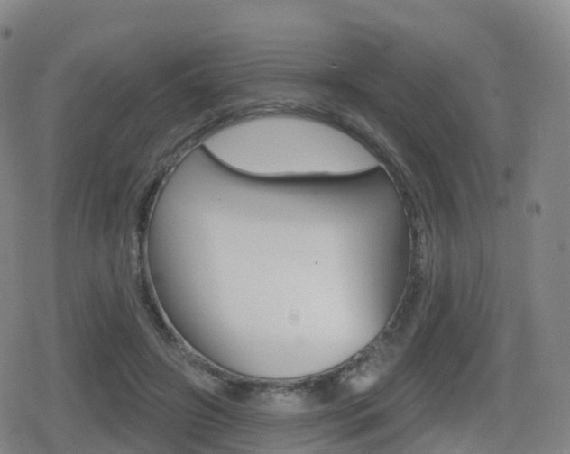 X0000080720498200612150842