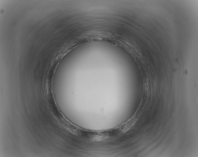 X0000080720504200612150842
