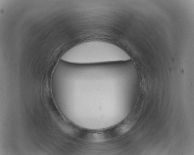 X0000080720506200612150842