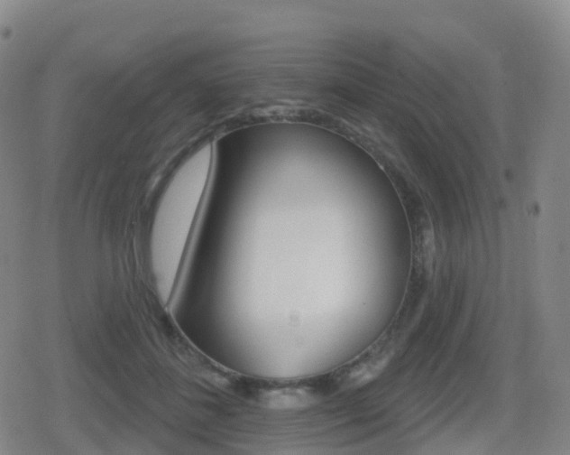 X0000080720508200612150841