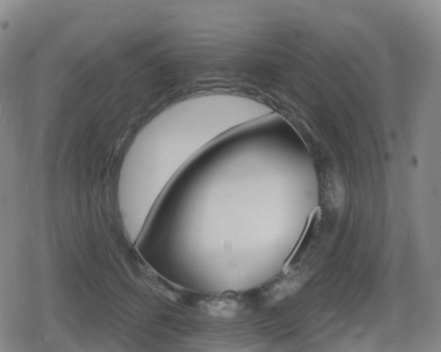X0000080720512200612150841