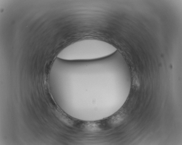 X0000080720518200612150841