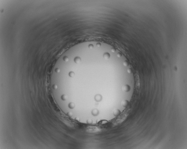 X0000080720519200612150841
