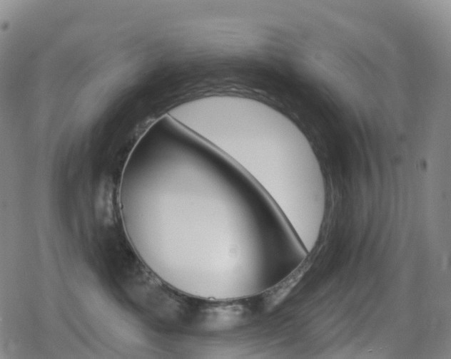 X0000080720525200612150841