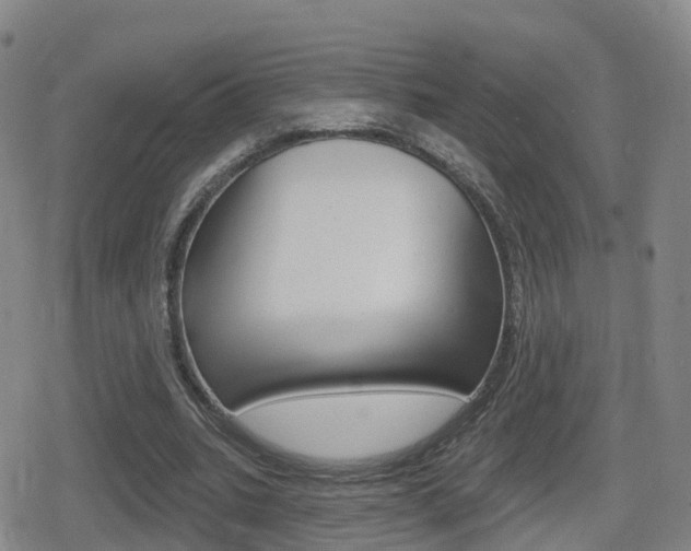 X0000080720535200612150840