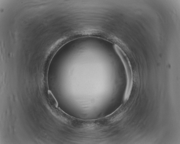 X0000080720540200612150841