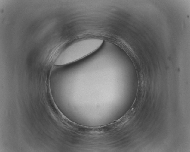 X0000080720542200612150841