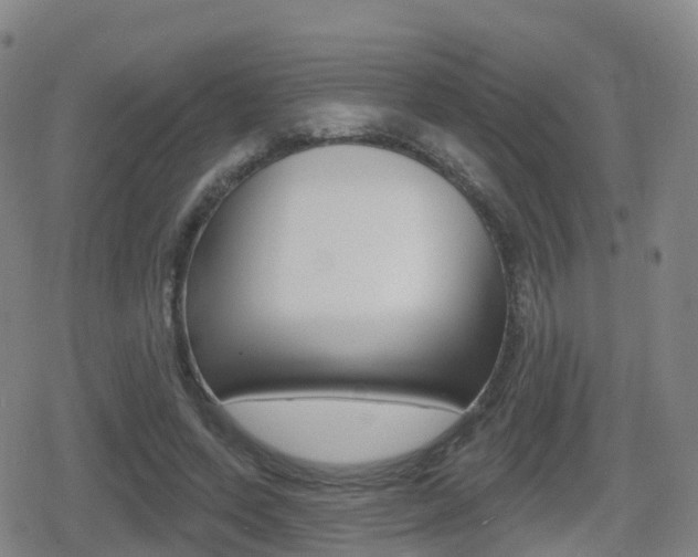 X0000080720543200612150841