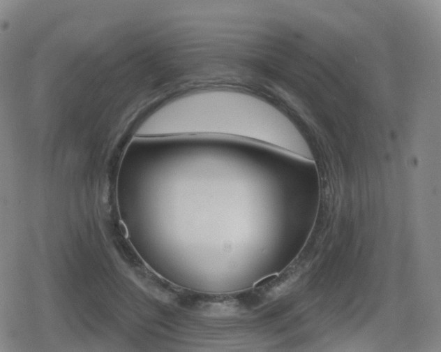 X0000080720548200612150841