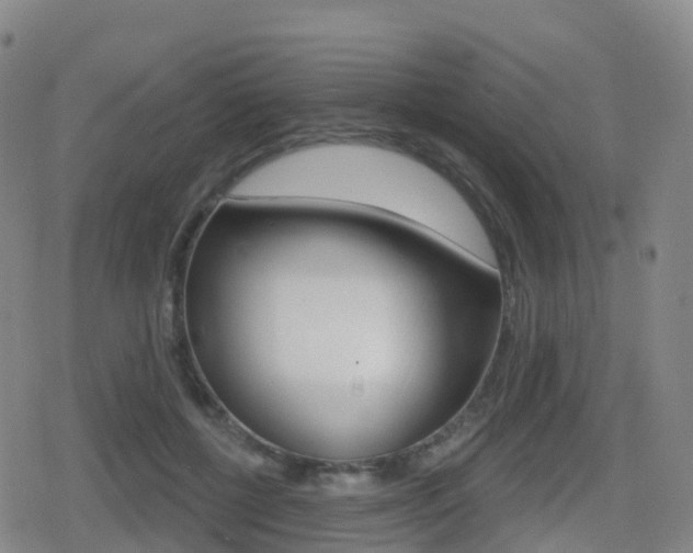 X0000080720552200612150841