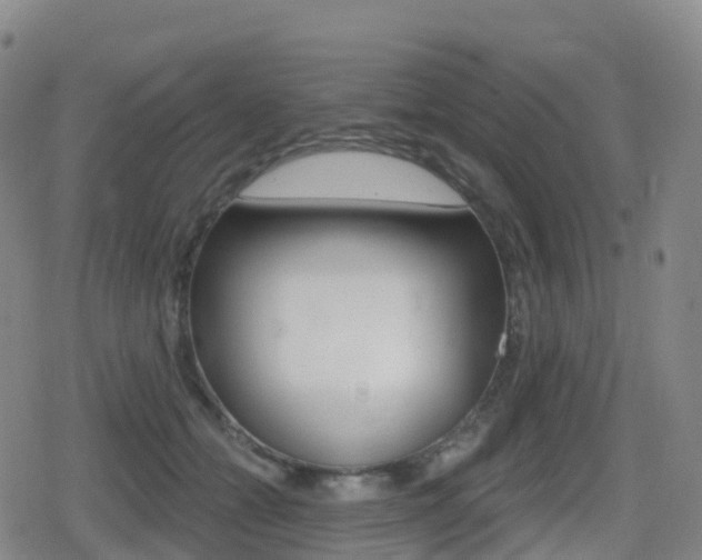 X0000080720558200612150841
