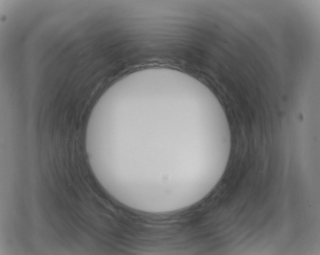 X0000080720564200612150841
