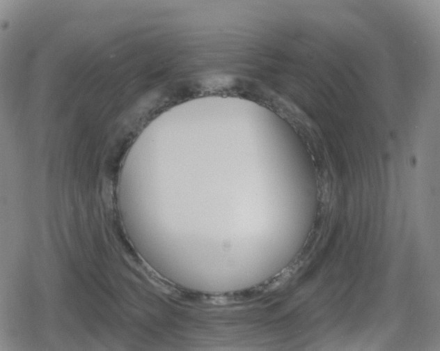 X0000080720565200612150841