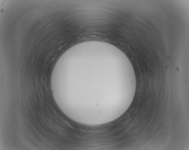 X0000080720566200612150841