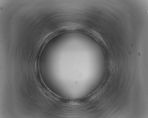 X0000080720596200612150840
