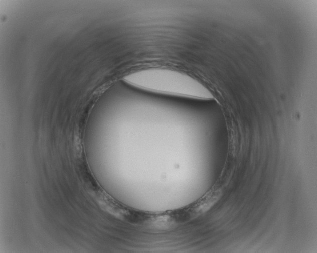 X0000080720609200612150840