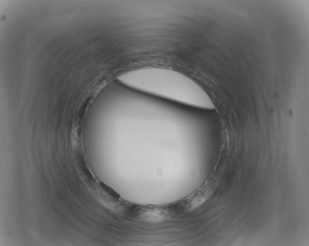 X0000080720611200612150840