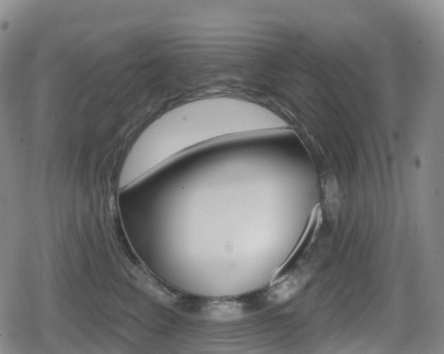X0000080720617200612150840