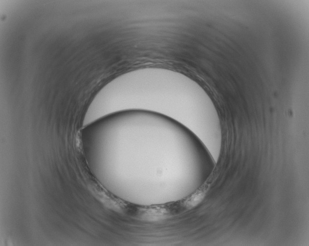 X0000080720621200612150840