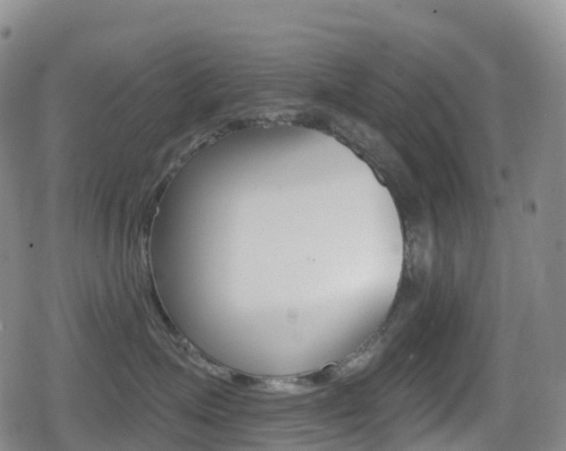 X0000080720623200612150840