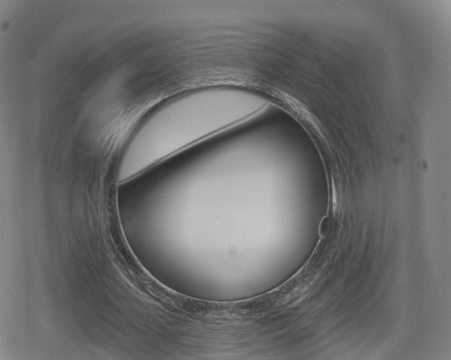 X0000080720627200612150839