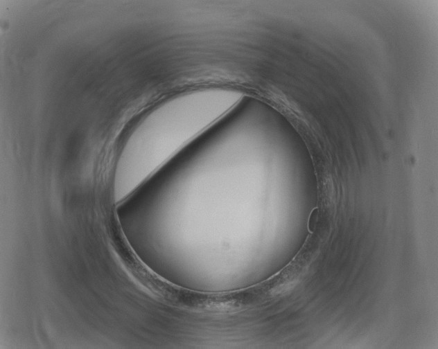X0000080720638200612150839