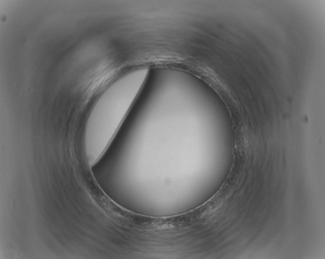 X0000080720640200612150839