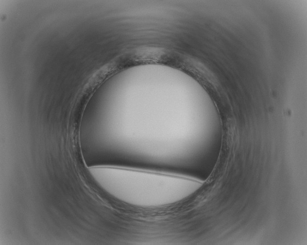 X0000080720641200612150839