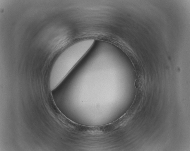X0000080720644200612150839