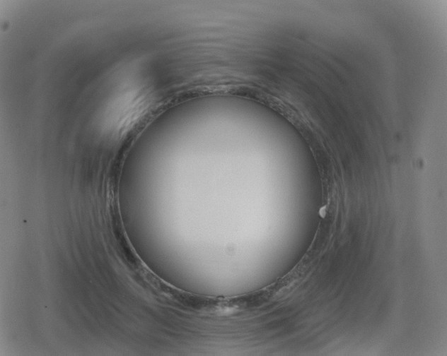 X0000080720647200612150839