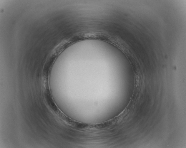 X0000080720648200612150839