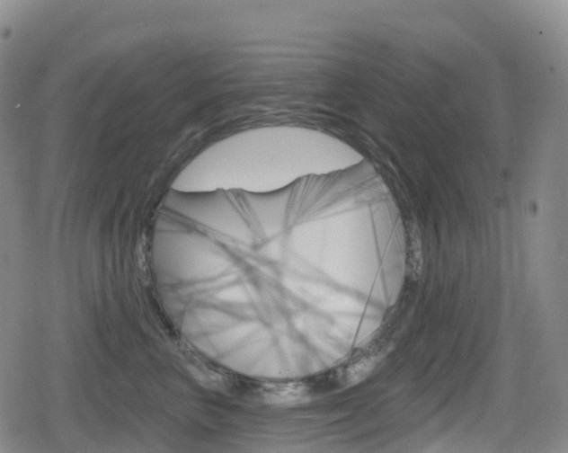 X0000080720667200612150839
