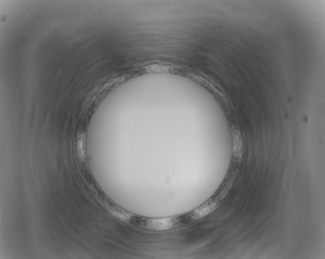 X0000080720717200612150838