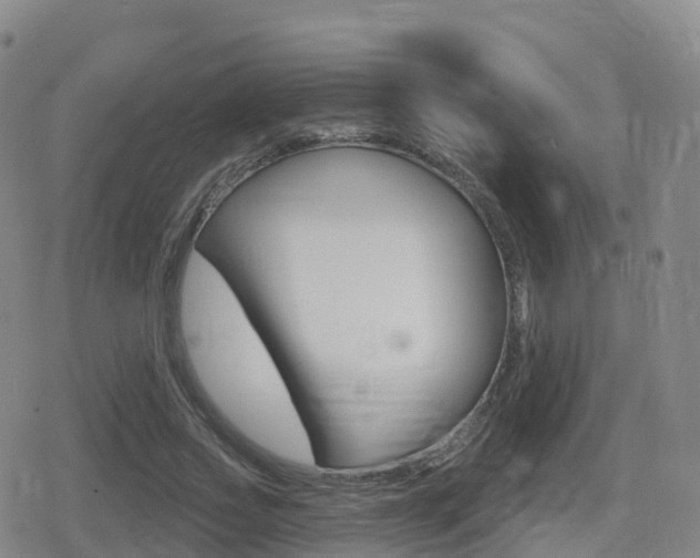 X0000080720733200612150837