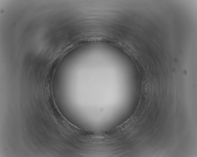X0000080720743200612150838