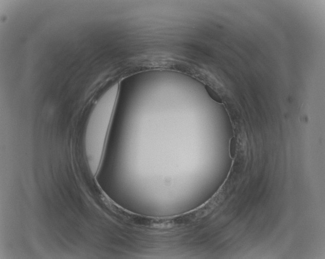 X0000080720744200612150838