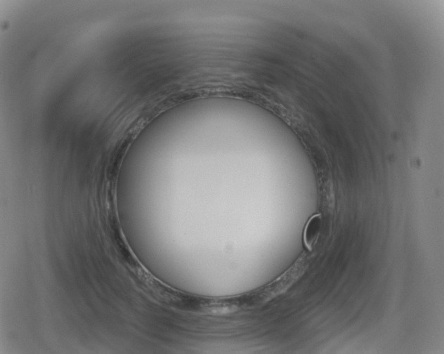 X0000080720746200612150838