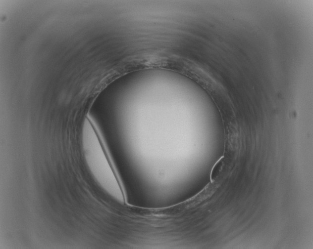 X0000080720748200612150838