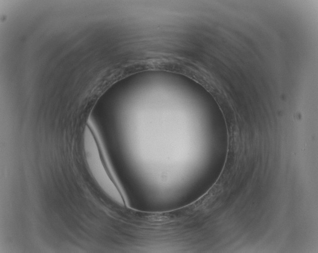 X0000080720750200612150838