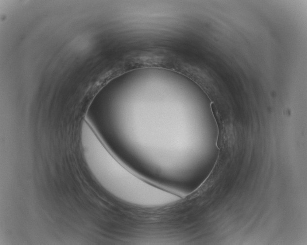 X0000080720752200612150838