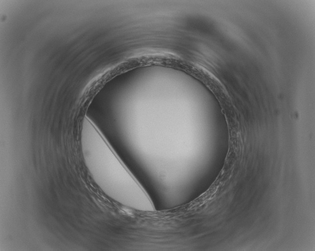 X0000080720775200612150837