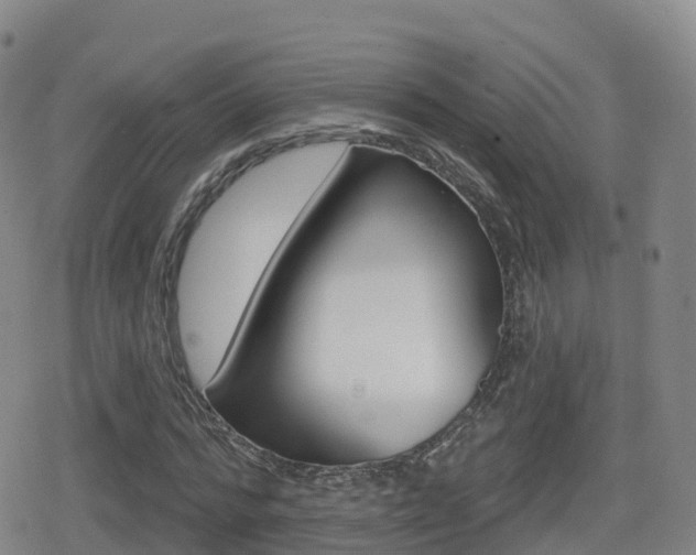 X0000080720776200612150837